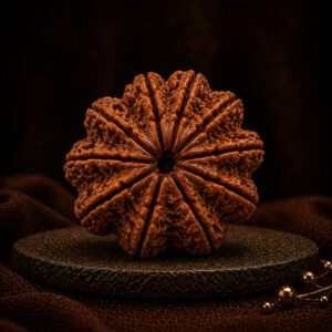 11 Mukhi Rudraksha