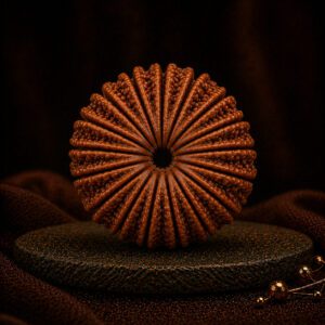 16 Mukhi Rudraksha