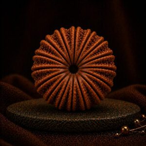 17 Mukhi Rudraksha