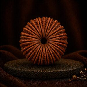 18 Mukhi Rudraksha