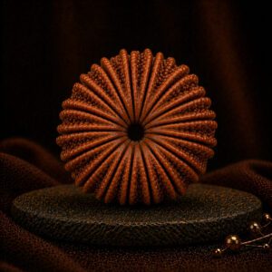 19 Mukhi Rudraksha