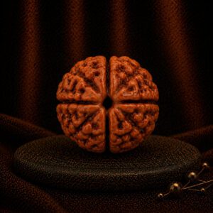 4 Mukhi Rudraksha