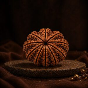10 Mukhi Rudraksha
