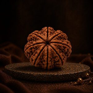 8 Mukhi Rudraksha