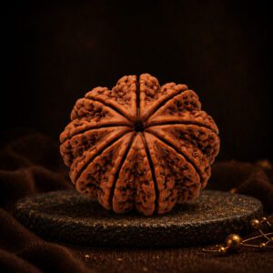 9 Mukhi Rudraksha