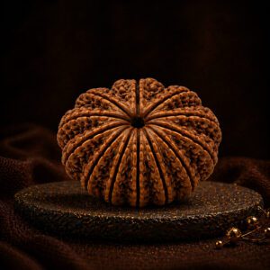 12 Mukhi Rudraksha