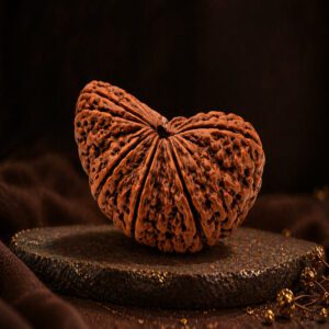 1 Mukhi Rudraksha