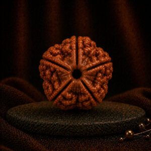 5 MUKHI RUDRAKSHA