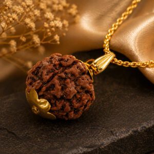 5 MUKHI RUDRAKSHA PENDANT WITH CHAIN