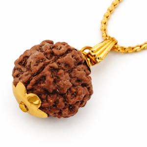 5 MUKHI RUDRAKSHA PENDANT WITH CHAIN